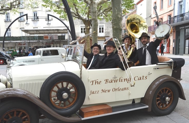 The Bawling Cats