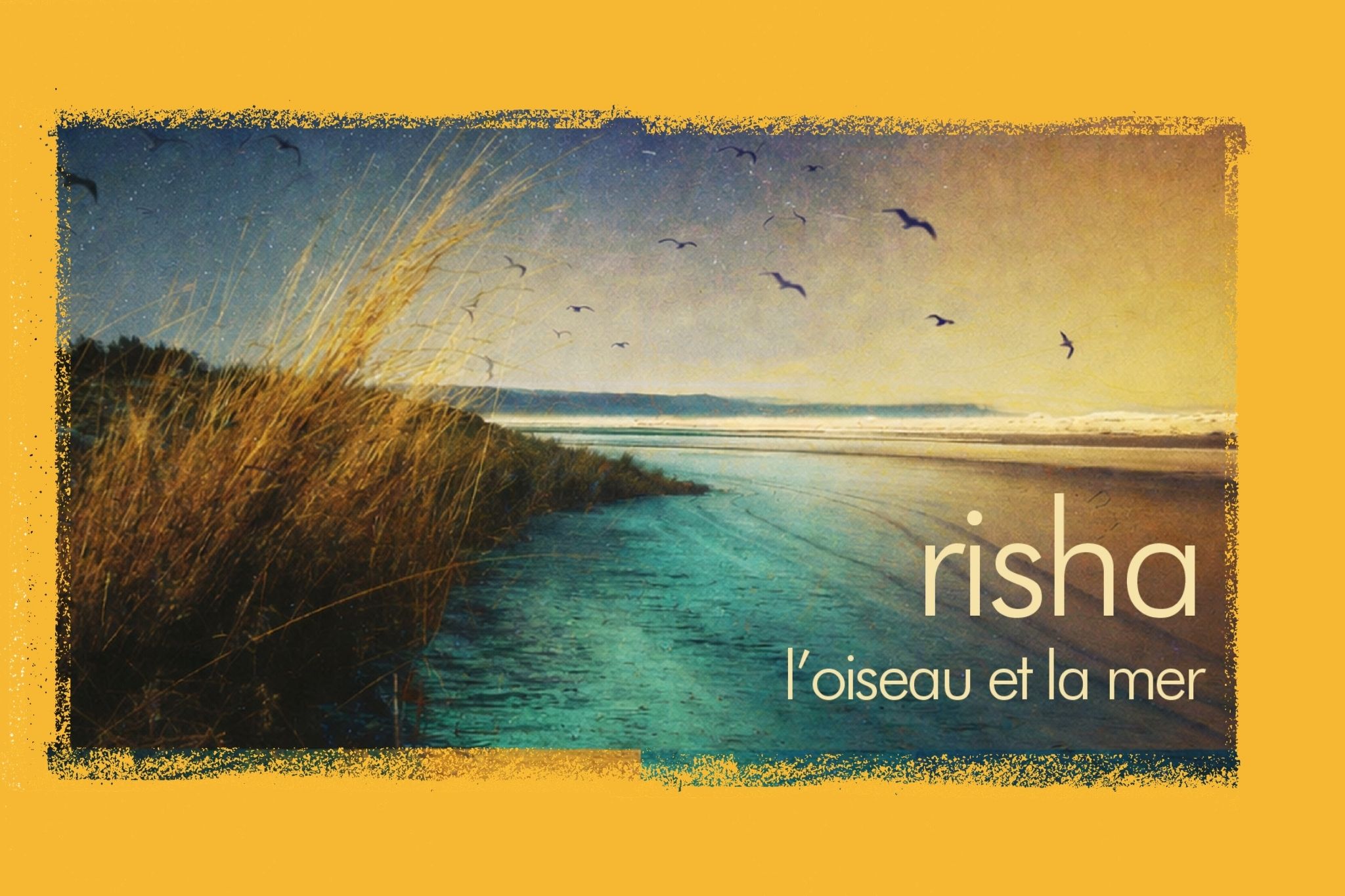 RISHA – Thierry Di Filippo 4tet (Sortie d’album L’Oiseau et la Mer)
