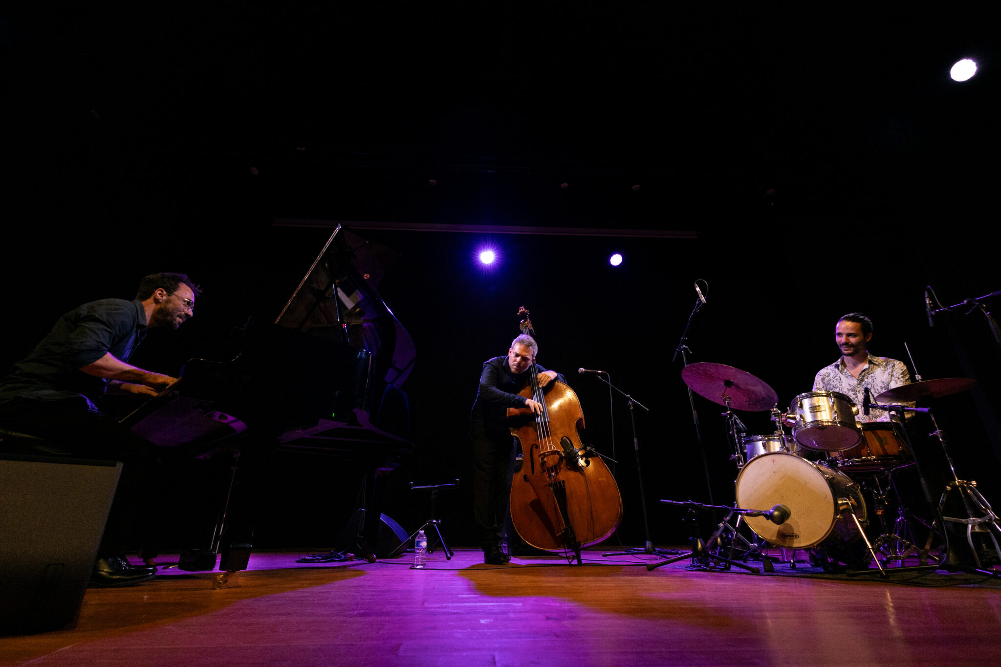 Manu Forster Trio | Tribute To Ray Brown