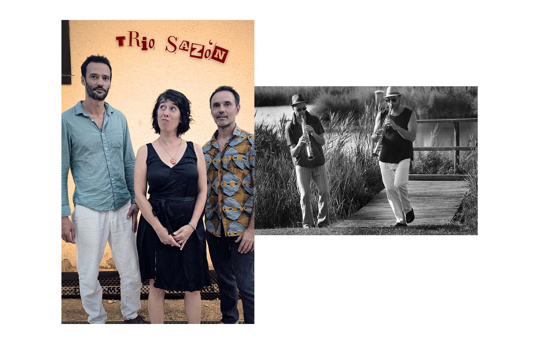 Saxicola Rubi & Trio-Sazón