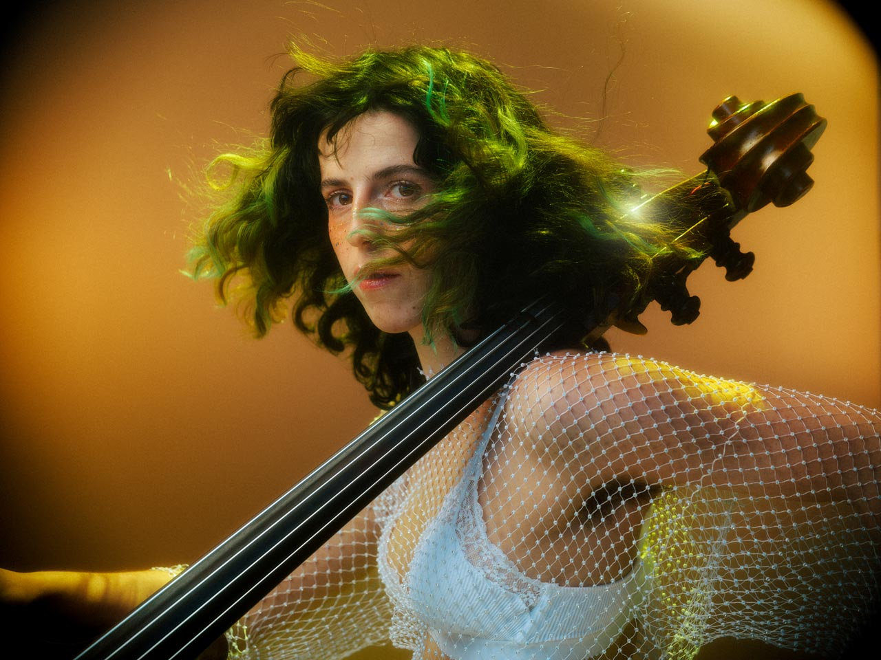Louise Knobil