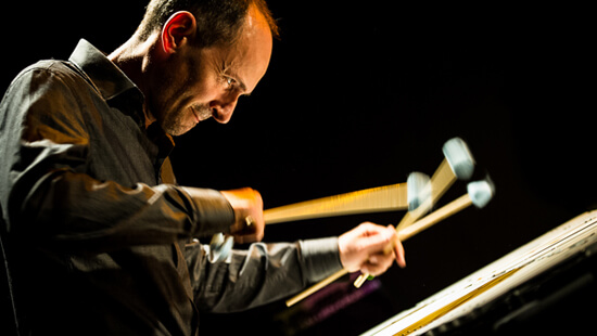 Thomas Duvigneau & David Patrois Duo