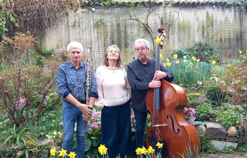 jazz à cours et à jardins